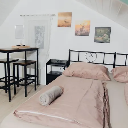 Home Feel Schwenningen - Gaestehaus Villingen-Schwenningen Tatil Evi