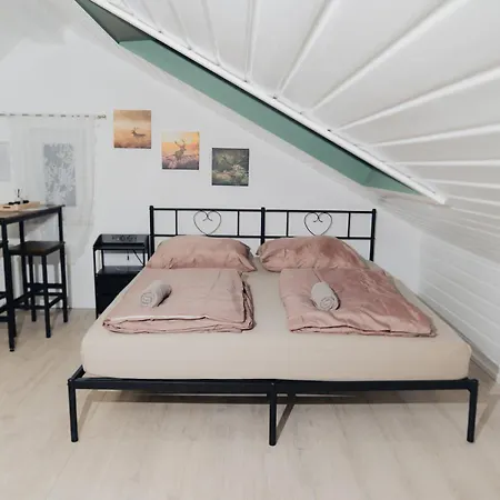 Home Feel Schwenningen - Gaestehaus Villingen-Schwenningen Tatil Evi Villingen-Schwenningen